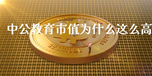 中公教育市值为什么这么高_https://cj002.lansai.wang_股市问答_第1张