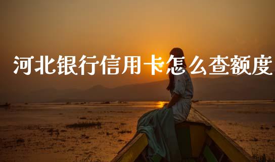 河北银行信用卡怎么查额度_https://cj002.lansai.wang_金融问答_第1张
