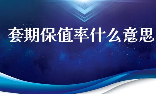 套期保值率什么意思_https://cj002.lansai.wang_会计问答_第1张