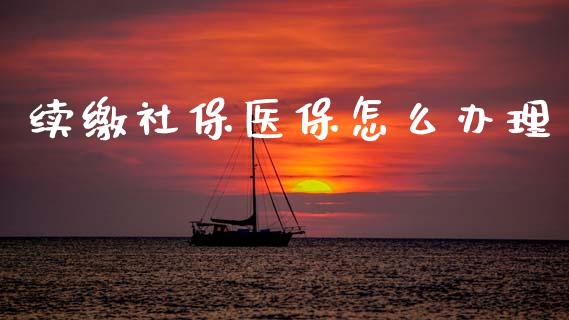 续缴社保医保怎么办理_https://cj002.lansai.wang_保险问答_第1张