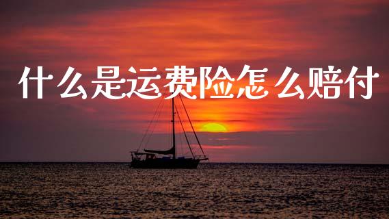 什么是运费险怎么赔付_https://cj002.lansai.wang_保险问答_第1张