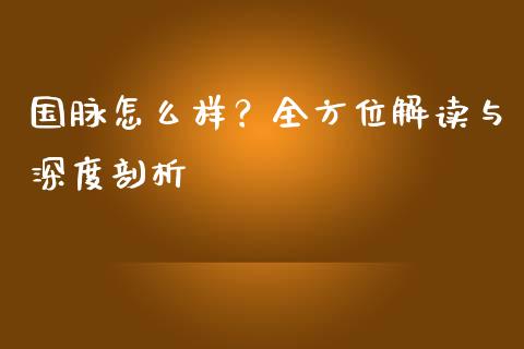 国脉怎么样？全方位解读与深度剖析_https://cj002.lansai.wang_金融问答_第1张