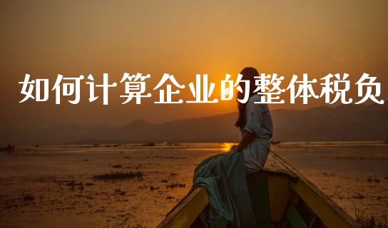 如何计算企业的整体税负_会计问答_第1张_财经百问网 如何计算企业的整体税负_https://cj002.lansai.wang_会计问答_第1张