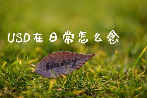 USD在日常怎么念_https://cj002.lansai.wang_财经问答_第1张