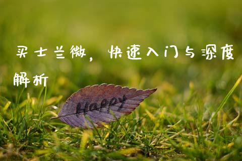买士兰微，快速入门与深度解析_https://cj002.lansai.wang_会计问答_第1张