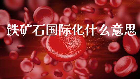 铁矿石国际化什么意思_https://cj002.lansai.wang_会计问答_第1张