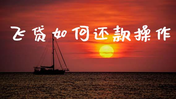 飞贷如何还款操作_财经问答_第1张_财经百问网 飞贷如何还款操作_https://cj002.lansai.wang_财经问答_第1张