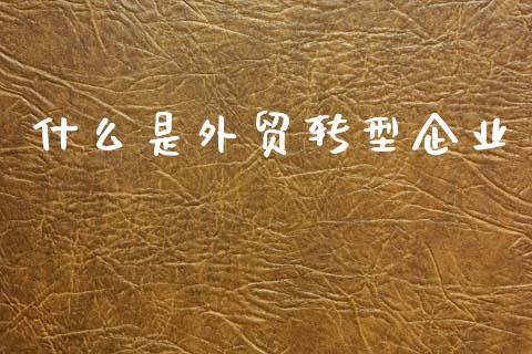 什么是外贸转型企业_https://cj002.lansai.wang_财经百问_第1张