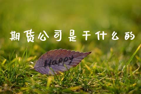 期货公司是干什么的_https://cj002.lansai.wang_股市问答_第1张