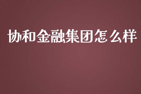 协和金融集团怎么样_https://cj002.lansai.wang_股市问答_第1张