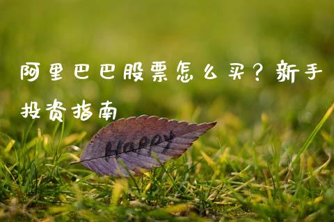 阿里巴巴股票怎么买？新手投资指南_https://cj002.lansai.wang_保险问答_第1张