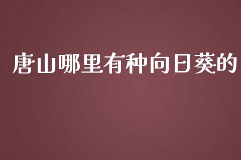 唐山哪里有种向日葵的_https://cj002.lansai.wang_股市问答_第1张