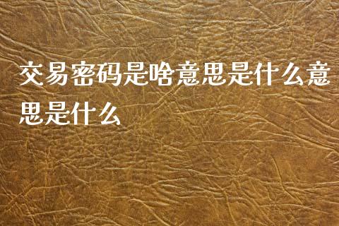 交易密码是啥意思是什么意思是什么_https://cj002.lansai.wang_理财问答_第1张