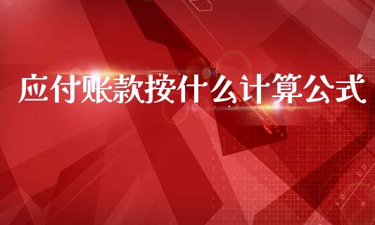 应付账款按什么计算公式_https://cj002.lansai.wang_会计问答_第1张