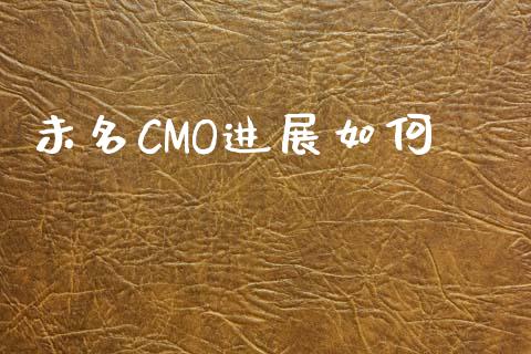 未名CMO进展如何_https://cj002.lansai.wang_股市问答_第1张