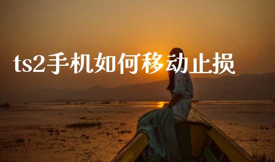 ts2手机如何移动止损_https://cj002.lansai.wang_财经问答_第1张