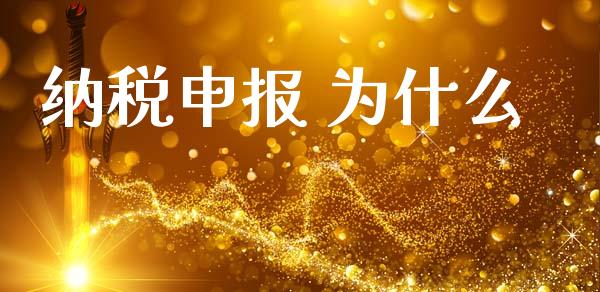 纳税申报 为什么_https://cj002.lansai.wang_会计问答_第1张