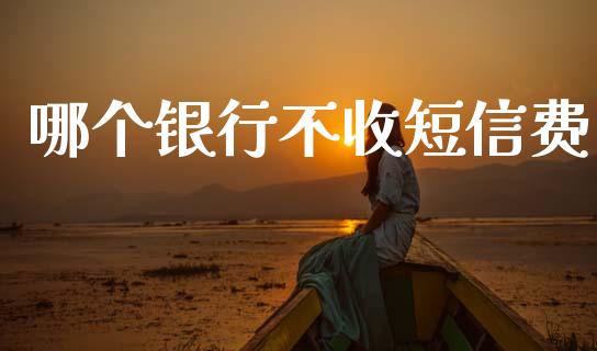 哪个银行不收短信费_https://cj002.lansai.wang_理财问答_第1张