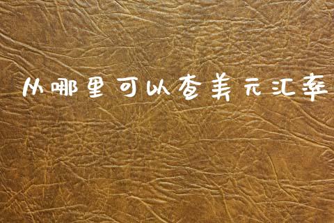 从哪里可以查美元汇率_https://cj002.lansai.wang_财经问答_第1张