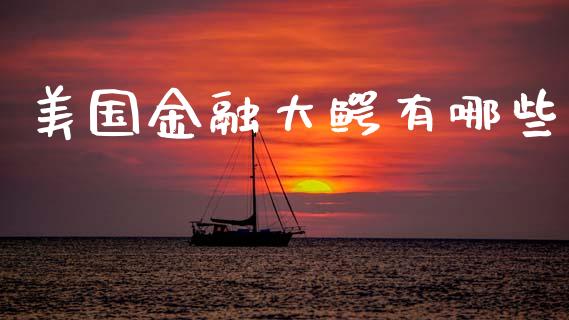 美国金融大鳄有哪些_https://cj002.lansai.wang_会计问答_第1张