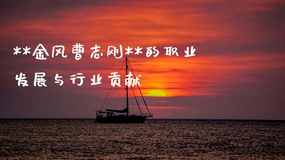 **金风曹志刚**的职业发展与行业贡献_https://cj002.lansai.wang_财经百问_第1张