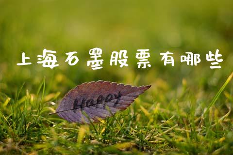 上海石墨股票有哪些_https://cj002.lansai.wang_股市问答_第1张