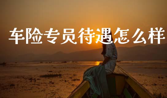 车险专员待遇怎么样_https://cj002.lansai.wang_保险问答_第1张