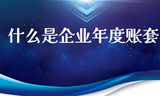 什么是企业年度账套_https://cj002.lansai.wang_会计问答_第1张