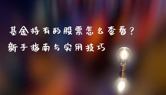 基金持有的股票怎么查看？新手指南与实用技巧_https://cj002.lansai.wang_股市问答_第1张