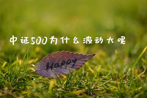中证500为什么波动大呢_https://cj002.lansai.wang_财经问答_第1张