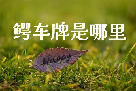 鳄车牌是哪里_https://cj002.lansai.wang_股市问答_第1张