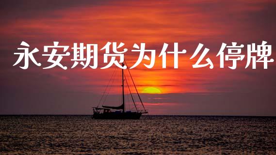 永安期货为什么停牌_https://cj002.lansai.wang_期货问答_第1张