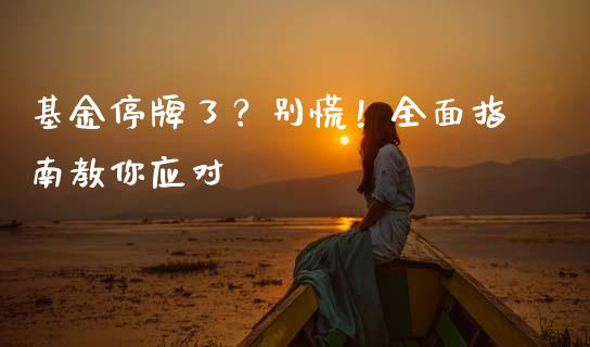 基金停牌了？别慌！全面指南教你应对_https://cj002.lansai.wang_财经百问_第1张