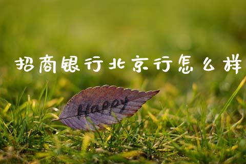 招商银行北京行怎么样_https://cj002.lansai.wang_金融问答_第1张
