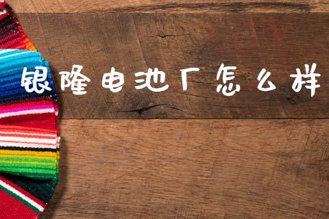 银隆电池厂怎么样_https://cj002.lansai.wang_股市问答_第1张