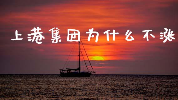 上港集团为什么不涨_https://cj002.lansai.wang_财经问答_第1张