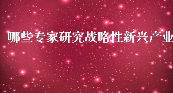 哪些专家研究战略性新兴产业_会计问答_第1张_财经百问网 哪些专家研究战略性新兴产业_https://cj002.lansai.wang_会计问答_第1张