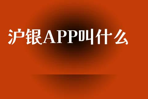 沪银APP叫什么_https://cj002.lansai.wang_期货问答_第1张