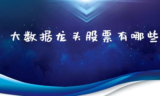 大数据龙头股票有哪些_https://cj002.lansai.wang_财经百问_第1张