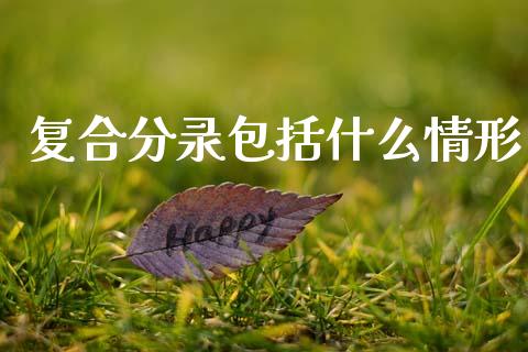 复合分录包括什么情形_https://cj002.lansai.wang_会计问答_第1张