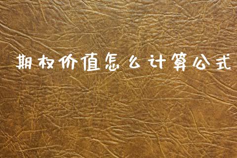 期权价值怎么计算公式_https://cj002.lansai.wang_会计问答_第1张
