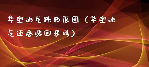 华宝油气跌的原因（华宝油气还会涨回来吗）_https://cj002.lansai.wang_财经百问_第1张