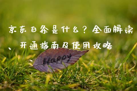 京东白条是什么？全面解读、开通指南及使用攻略_https://cj002.lansai.wang_期货问答_第1张