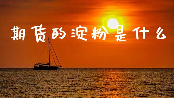 期货的淀粉是什么_会计问答_第1张_财经百问网 期货的淀粉是什么_https://cj002.lansai.wang_会计问答_第1张