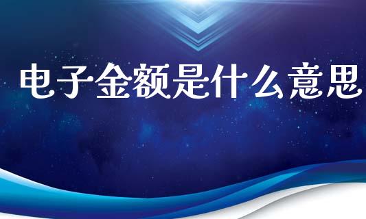 电子金额是什么意思_https://cj002.lansai.wang_期货问答_第1张