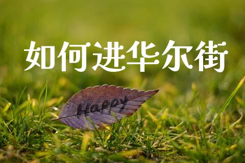 如何进华尔街_https://cj002.lansai.wang_财经百问_第1张