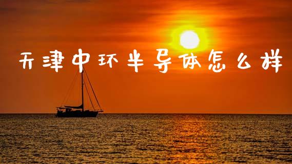 天津中环半导体怎么样_https://cj002.lansai.wang_财经问答_第1张