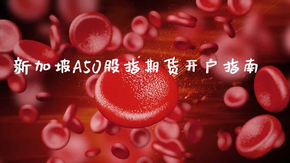 新加坡A50股指期货开户指南_https://cj002.lansai.wang_理财问答_第1张