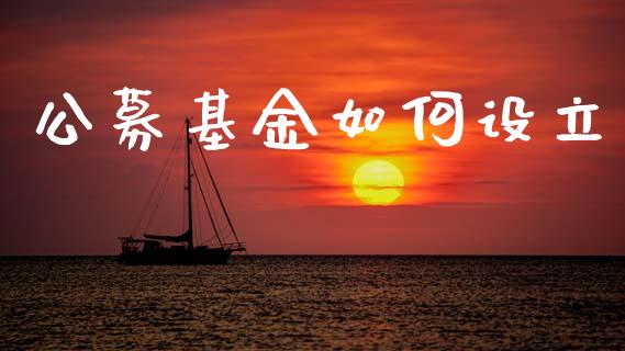 公募基金如何设立_https://cj002.lansai.wang_保险问答_第1张