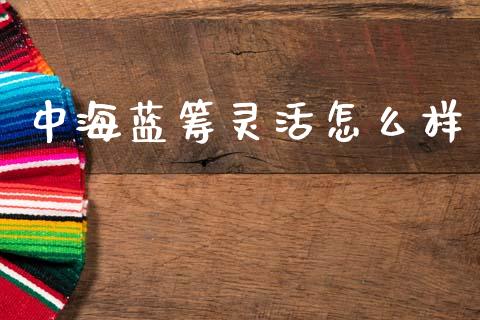 中海蓝筹灵活怎么样_https://cj002.lansai.wang_财经百问_第1张